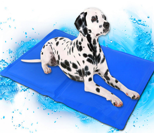 dogs cool pad
