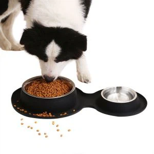 Silicone Food Mat Feeder Double Bowls For Pet Dog Cat
